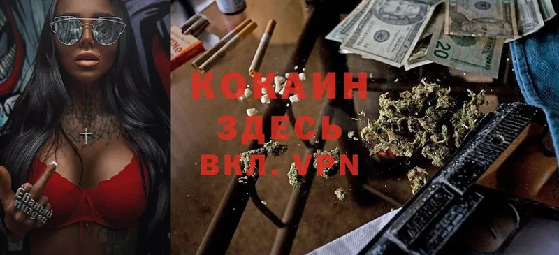 Cocaine VHQ Бежецк